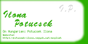 ilona potucsek business card